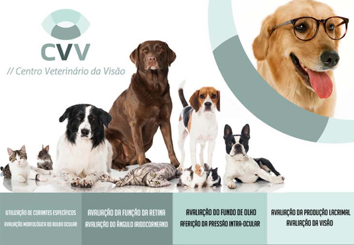 Oftalmologia Veterinria em guas Claras, Oftalmologia para animais em guas Claras, Braslia - DF