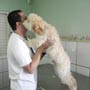 Clinica Veterinria no Betnia