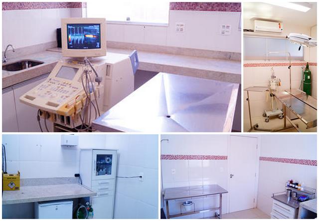 RENAL PET - Hospital veterinrio 24 horas no Castelo - BH