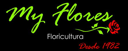 Floriculturas no Santo Antnio BH